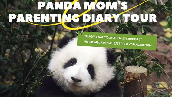 Chengdu Research Base of Giant Panda Breeding Admission ticket + express entry + "Panda mom's parenting diary" half-day study tour experience (Child)