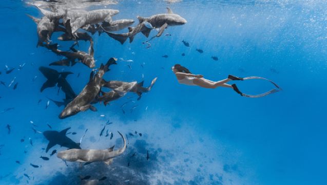 Snorkeling à Maafushi aux Maldives : Option de séance photo sous-marine (Secret de Maafushi + mer bleu cristal + snorkeling immersif + cadrage professionnel)