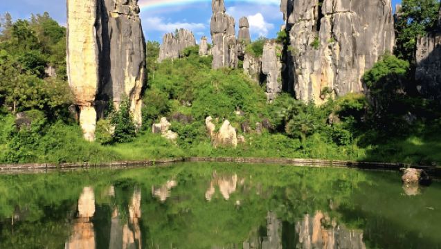 [ทัวร์ 2 สถานที่ท่องเที่ยวยอดนิยม] ทัวร์ 1 วันอุทยานป่าหินและจิ่วเซียง แพ็กเกจหลากหลายให้เลือกจากร้านค้ายอดนิยมในท้องถิ่น