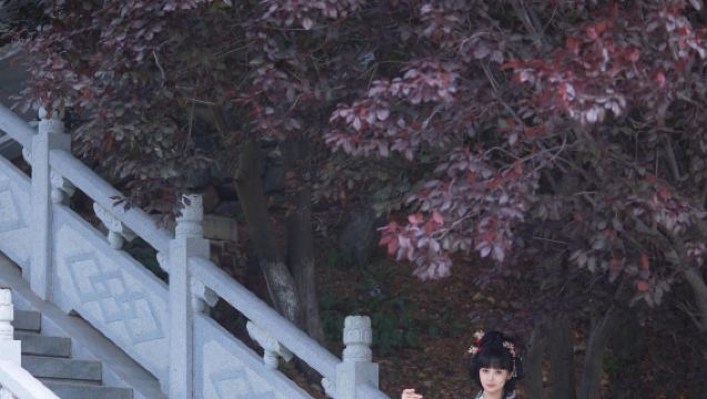 Trip Moments a Kangping[Servizio fotografico di viaggio: foto, video brevi, riprese matrimoniali, spot promozionali, ritratti, matrimoni con consegna di tutti i negativi/traduzione]