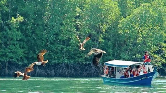 6-часовая совместная экскурсия с посещением островов Лангкави и мангровых зарослей