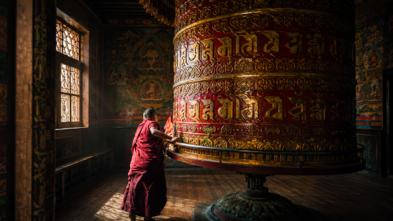 Excursión de un día a Qinghai: Monasterio Ta'er + Museo de la Cultura Tibetana + admiración del thangka de 618 metros de la cultura tibetana