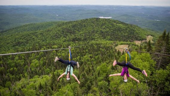 Tree Trek Tour