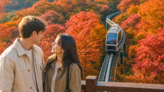 Tour di un giorno a Hwaseong: Bosco della Pace + Villaggio Folkloristico Coreano + Fortezza Namhansanseong