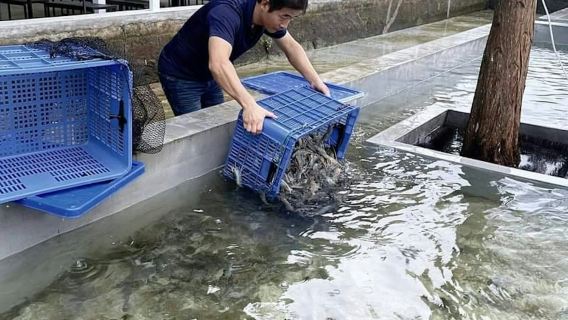 Sheng Yang Leisure Farm: Ticket + DIY Aktivität in Yilan (TWD100 Guthaben)