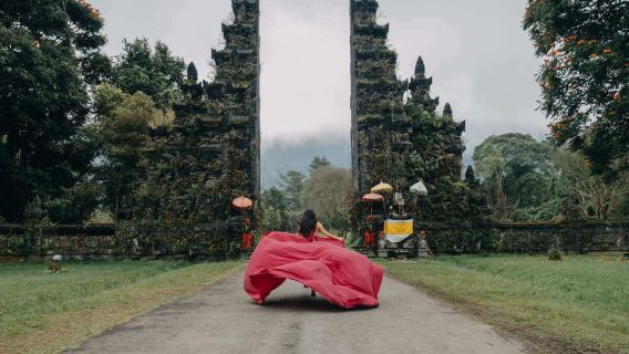 Bali northern Twin Lakes swing + Handara Iconic Gate + sacred tree 1-day tour [hotel transfer]