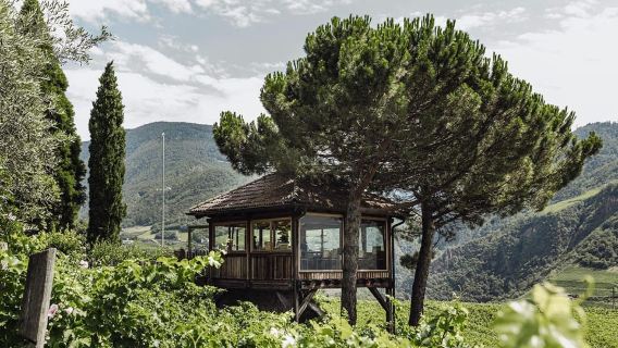 Bolzano: Wine Tasting at SKYWINE Pavilion with Views