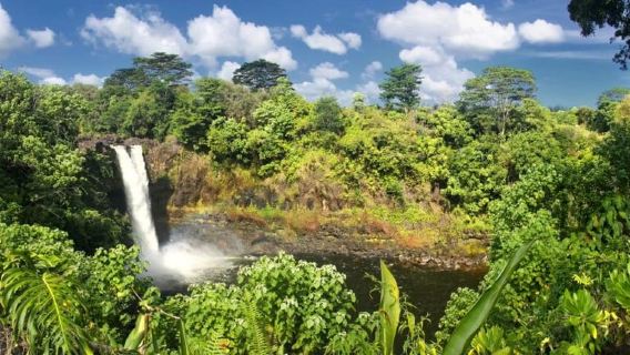 Hilo: Volcano Safari Tour