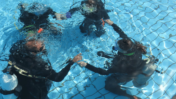 帕福斯：探索水肺潛水半日遊