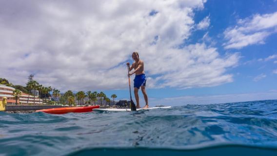 Funchal: SUP Rental or Guided tour with snorkeling
