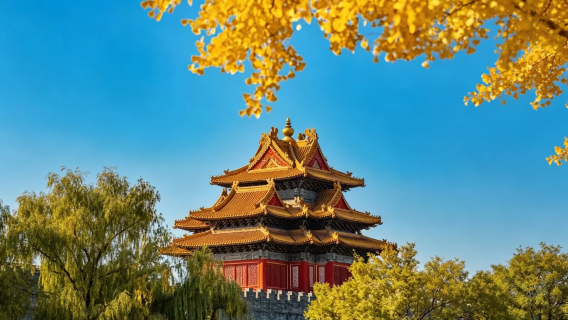 Beijing Tiananmen Square + the Palace Museum + Jingshan half-day tour [optional English · Russian private tour]