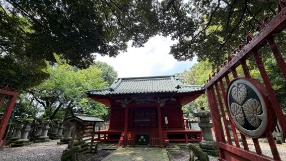Tokyo round-trip | Koedo Kawagoe Ichibangai shopping street + Kawagoe Kitain temple + Hikawa shrine [Japan 1-day tour with door-to-door pick-up · Chinese-speaking private charter · Itinerary can be customized]