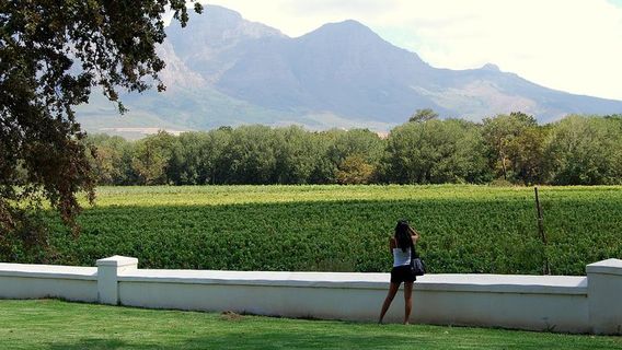 Cape TownTours