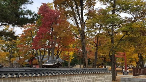 JeonjuTours