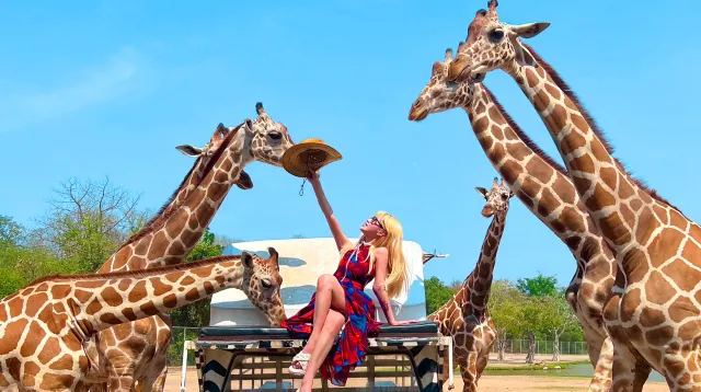 曼谷景點 #5 北碧府野生動物園 Safari Park Kanchanaburi
