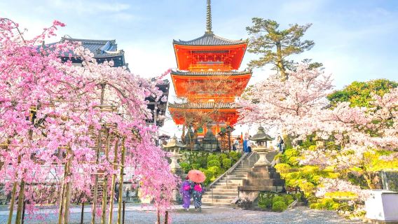 일본 교토 나라 1일 투어 (기요미즈데라 + 후시미 이나리 타이샤 + 나라 공원에서 귀여운 사슴 만나기)