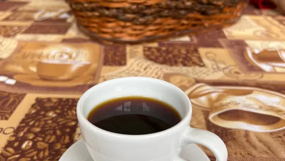 Colombiansk halvdags kaffetur: Fra frø til kop - Plantage + Risteværksted