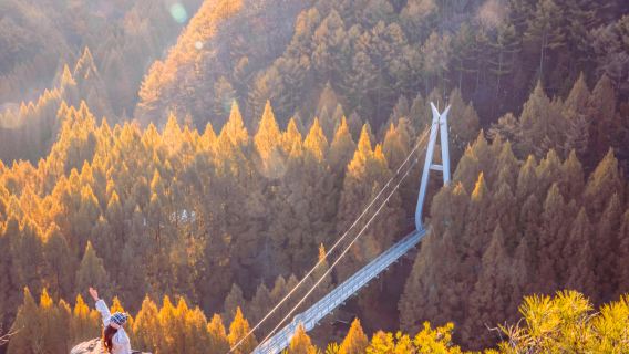 Excursión de un día para ver los arces en otoño en el monte Jangtae de Daejeon, Corea (salida desde Seúl / grupo mínimo de 4 personas)