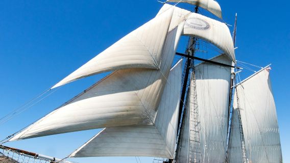 Cảng San Diego: Tour du ngoạn bằng thuyền buồm lớn