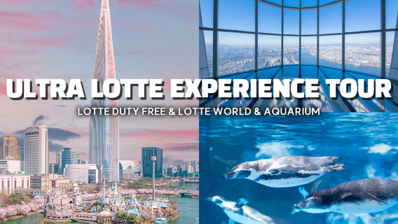 Lotte World Adventure+Lotte World Aquarium1-day Tour