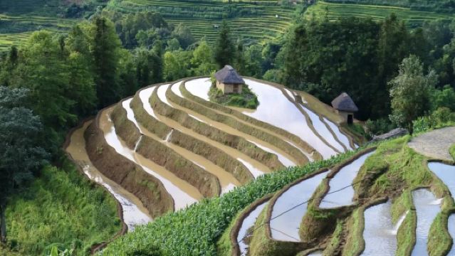 Yuanyang. Teres Sawah Hani + Keretapi Mini Jianshui/Honghe + Tiada Pakej Berkumpulan/Pemandu Pelancong Bahasa Inggeris-Cina