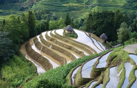 元陽.哈尼梯田+建水小火車/紅河+不拼團/中英文導遊O