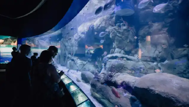 Oceanogràfic de Valencia: Entry Ticket