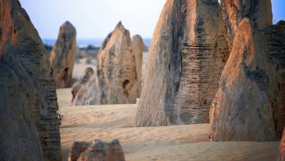 Pinnacles Desert, Yanchep & Swan Valley: Day Tour from Perth + Lunch