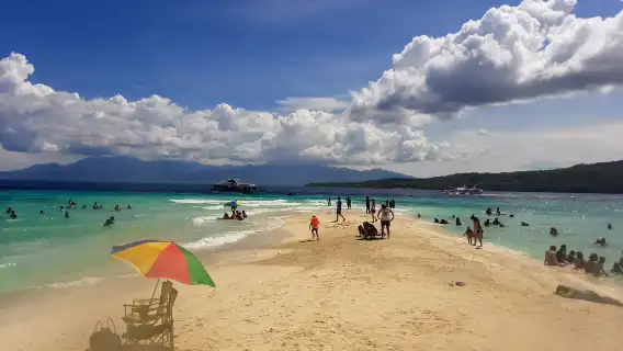 Snorkeling with Whale Sharks in Oslob with Tumalog Falls and Sumilon Island Sandbar