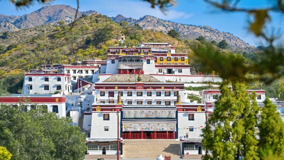 上門接送無購物【五當召半日遊】6 人小團·專車司導·鐵發團