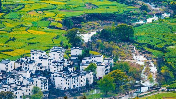 Wuyuan professional tour guide/foreign language guide: Huangling + attraction+ Wunuzhou foreign guest reception EA