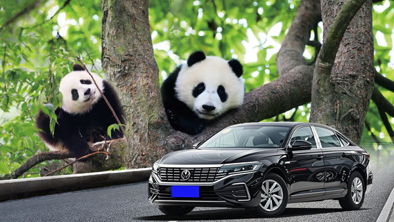 XiaojinTours