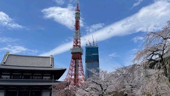 茨城日遊