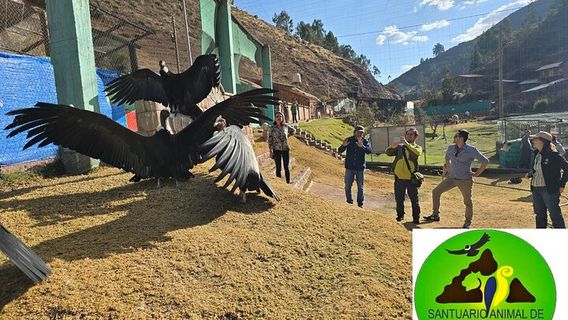 Cusco
