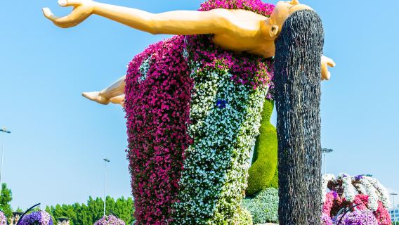 Экскурсия в Сад чудес с трансфером