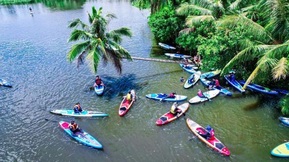 Riyue Bay coconut grove paddleboarding + coconut picking + rainforest chicken catching + coconut chicken hotpot tasting