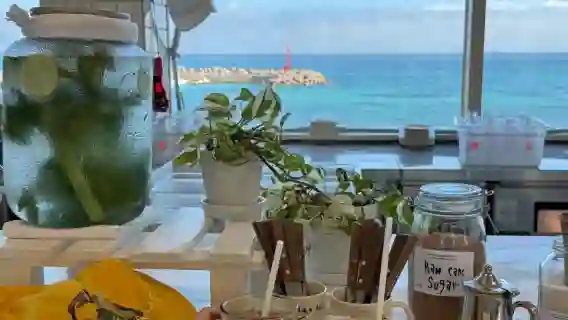 濟州島東線包車一日遊【含門票+專車】可定制行程一手報價