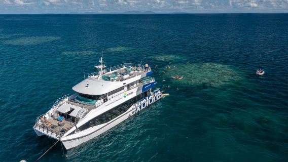 Snorkeling alla Grande barriera corallina - tour di un giorno con partenza da Shute Harbour
