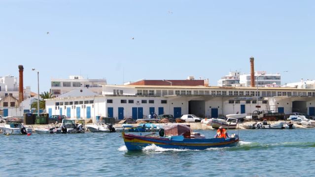 Ria Formosa: 2-Hour Fishermen Route Boat Tour