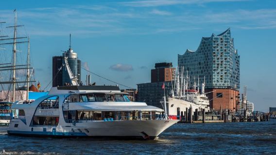 Amburgo: crociera turistica di 2 ore a Blankenese