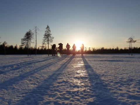Luleå: Nordic Touring Skiing Adventure