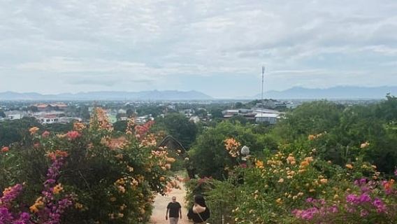 Visite privée| Dune de sable de Phan Rang : départ de Nha Trang