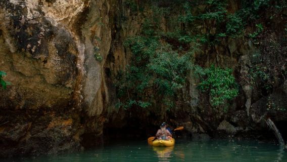 Phuket: Kayak Gua Plankton Bioluminescent dengan Makan Malam
