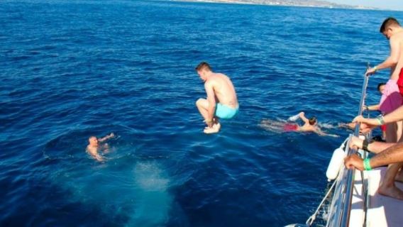 Private Dolphin Cruise, Fuengirola – 43ft Luxury Yacht & Sundeck