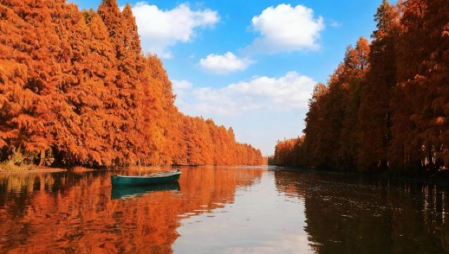 【含門票】廣富林文化遺址私人導覽含文化/古陶/木藝3H導覽