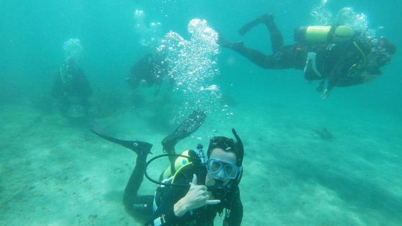 Guided Shore Dive Tour for Certified Divers