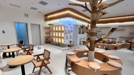 DX-PARK 2.0·Công viên Địa Tâm·Tiệc tùng·Thú cưng dễ thương·Buffet tự chọn/Ga tàu điện ngầm Bảo Hoa cửa B2/Ga trung tâm Bảo An (Số 19 Hưng Hoa Nhất Lộ, Tầng B1-22 HOP Thiên Địa Tiền Hải)