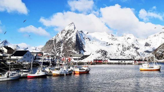 冰島雷克雅未克-斯奈山半島-玄武石橋-中文包車【明星路線】