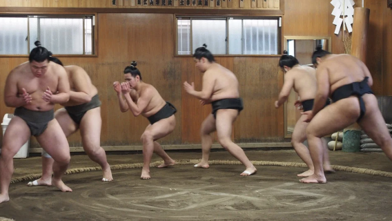 日本で相撲力士と一緒にランチを楽しむ