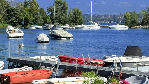 Lake Geneva - Musee du vieux Montreux - Chillon Castle - Lausanne Cathedral - Olympic Park